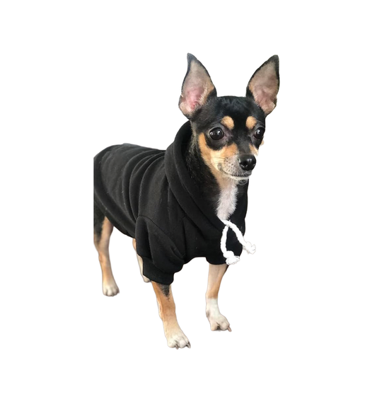 Small Dog Hoodie