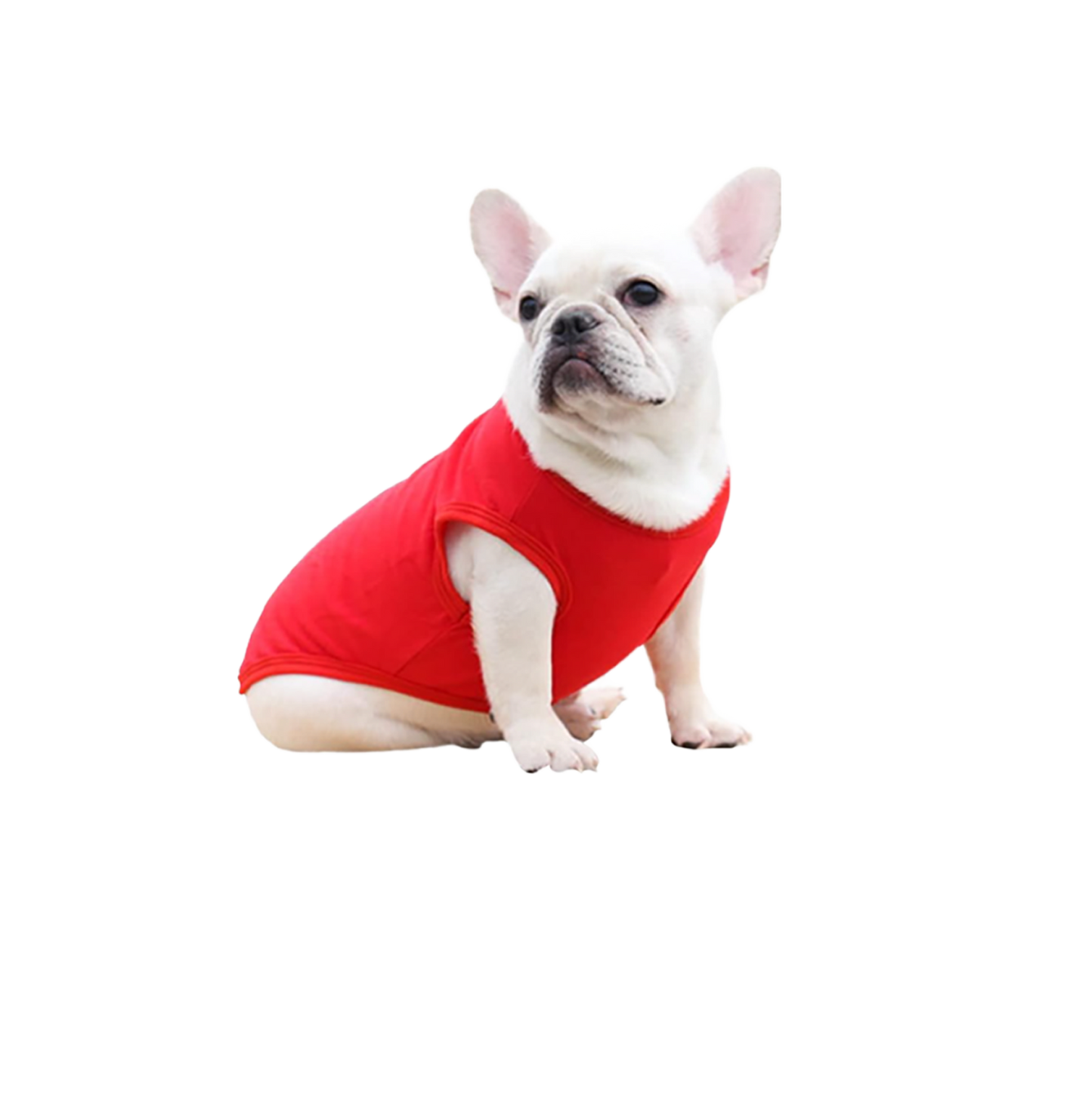 Small Dog Shirt