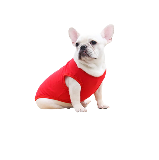 Small Dog Shirt
